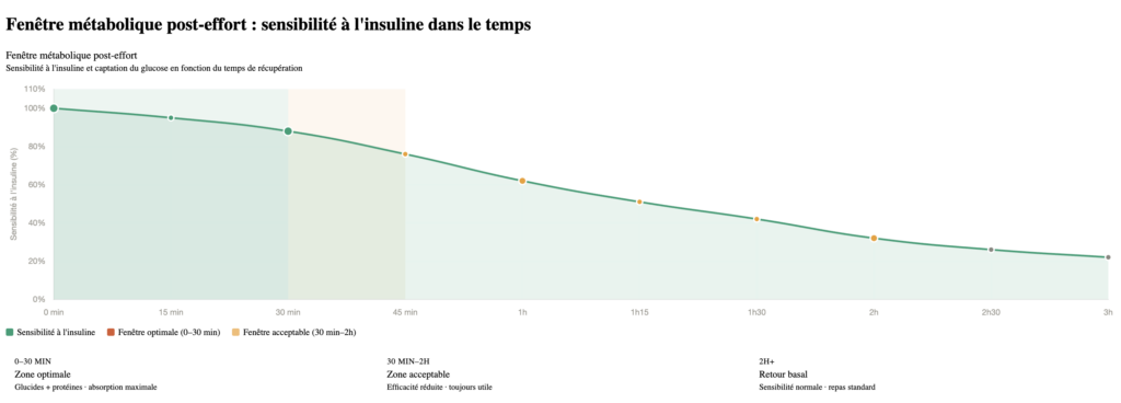 GRAPHIQUE : Fenêtre métabolique post-effort — sensibilité à l'insuline dans le temps